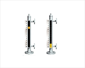 By-pass Level Transmitter